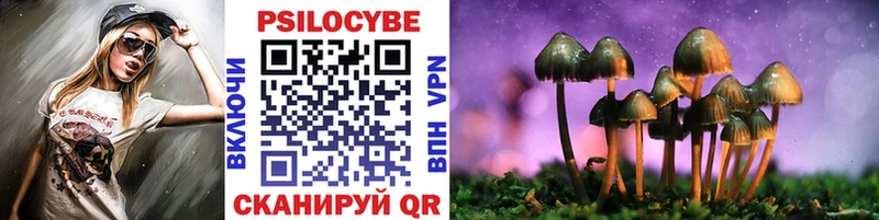 Псилоцибиновые грибы Psilocybe  Кимры 